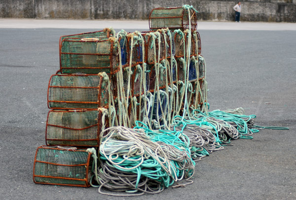 Deseo Gimnasia en cualquier sitio Nasas: Arte de Pesca artesanal - Blog