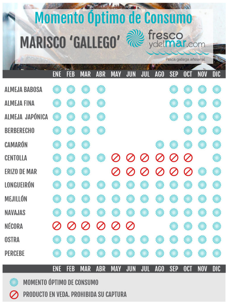 Marisco Gallego: calendario optimo de consumo