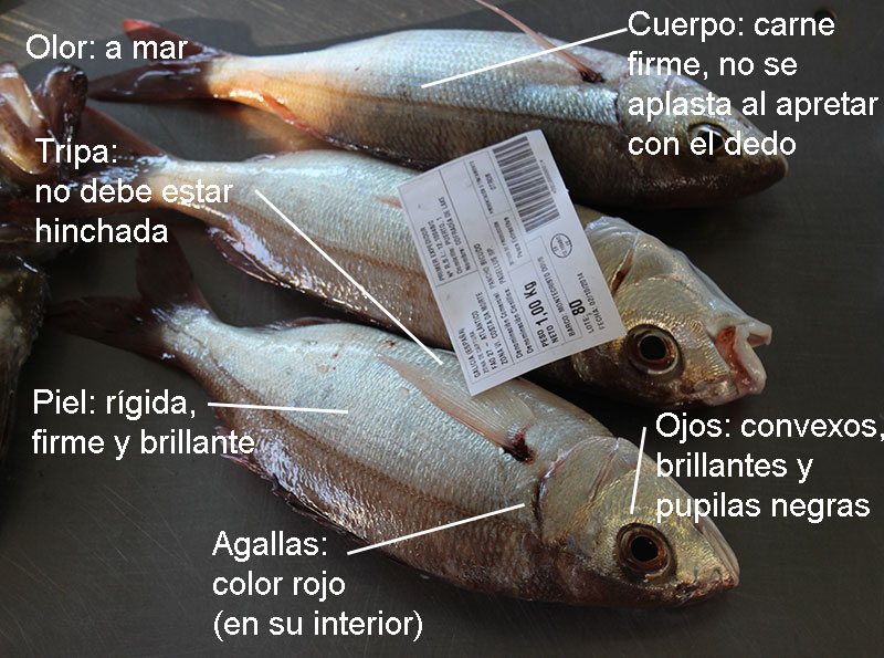 caracteristicas-del-pescado-fresco