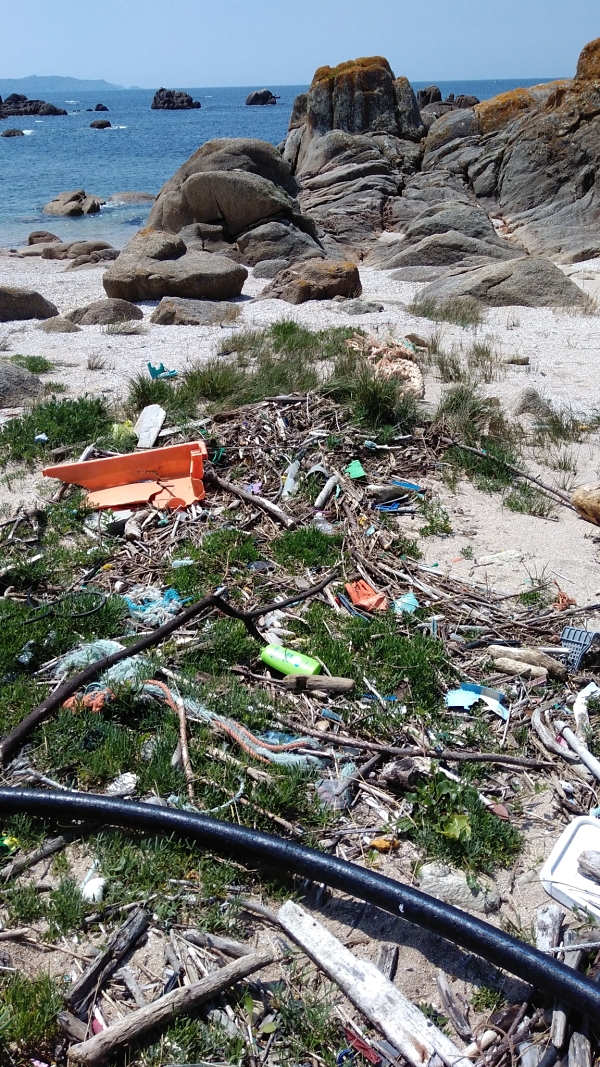 Microplásticos. Contaminación de plásticos en las playas