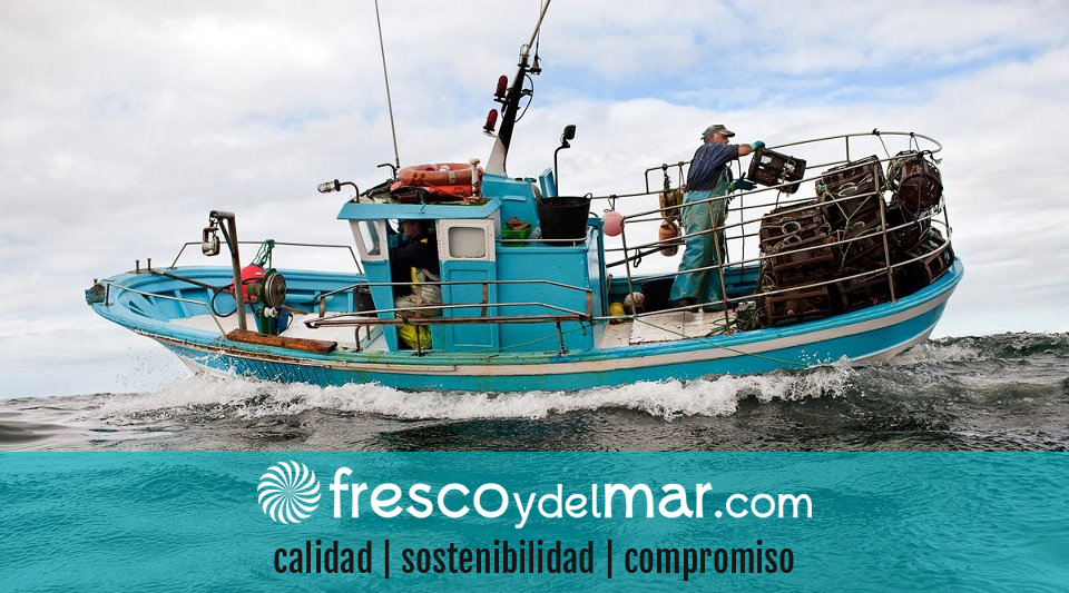 pescaderia online sostenible
