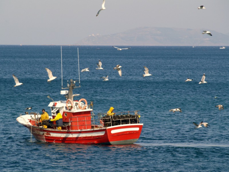 Pescadería online gallega