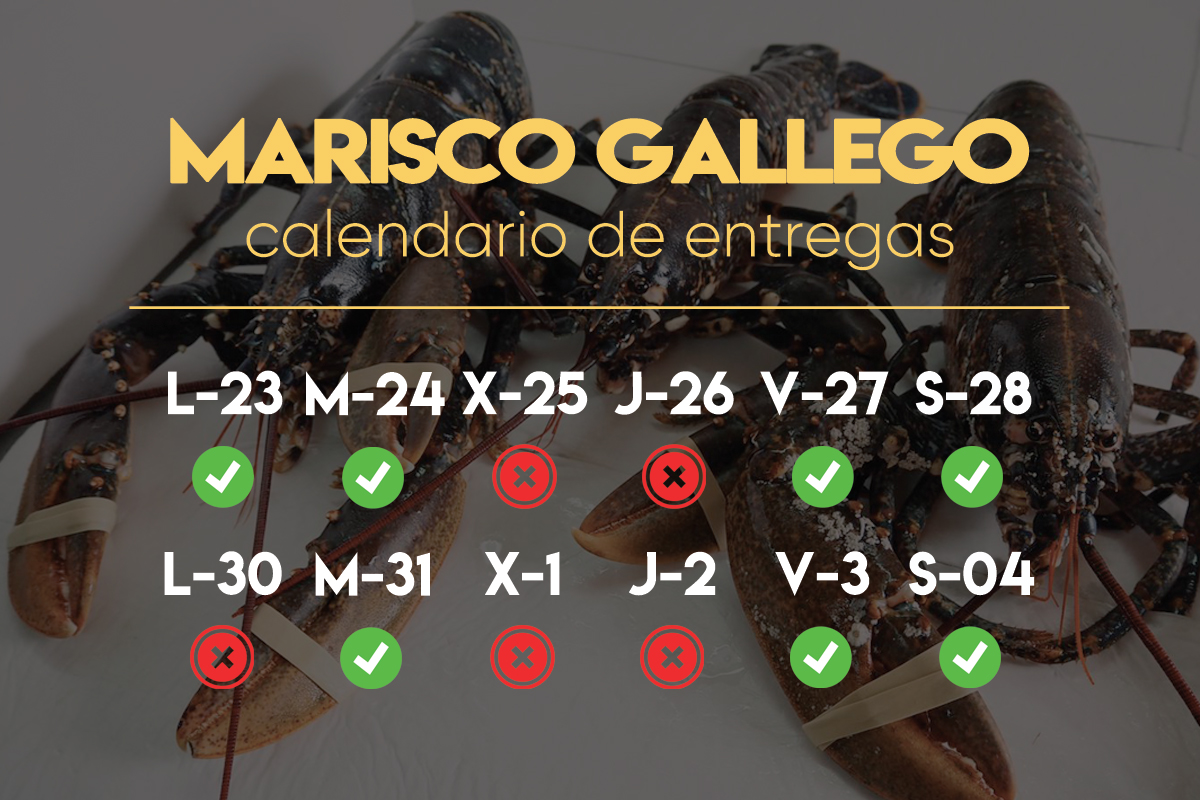 Calendario entregas marisco a Domicilio en Navidad