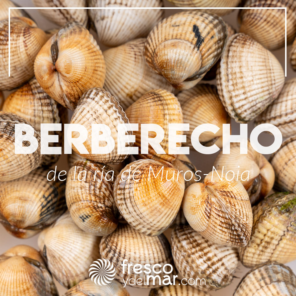 Berberecho de la Ría de Noia-Muros a domicilio