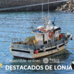 Marisco y pescado destacado en la lonja de Muros (14/10/26)
