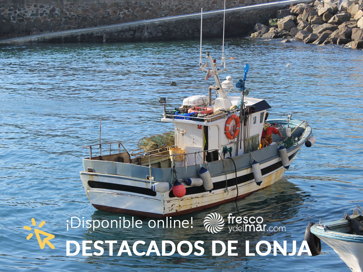 Marisco gallego a domicilio
