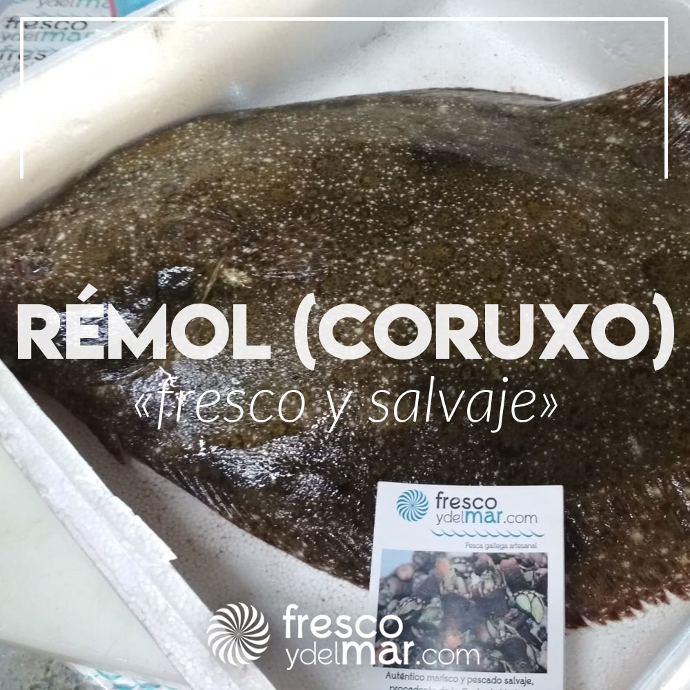 Rémol de bajura (coruxo) a domicilio